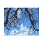 Branches against a blue sky gallery wrapped canvas