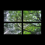 Branches and Leaves III canvas prints