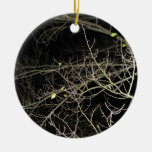 Branches at night ornaments