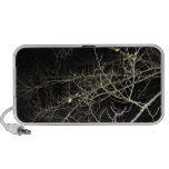 Branches at night speaker