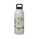 Branches Bottle water bottles