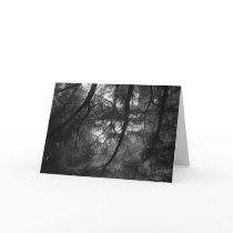 Branches, into sun, UC Santa Cruz, 1963 cards
