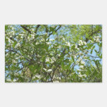 Branches of Dogwood Blossoms Sticker