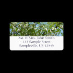 Branches of Dogwoods Return Address Label