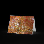 Branches of Orange Leaves Card