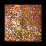 Branches of Orange Leaves Magnet