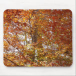 Branches of Orange Leaves Mousepad