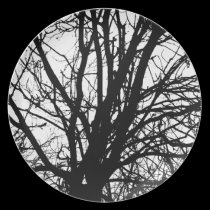 Branches plates