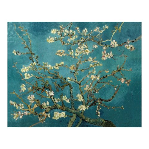 Branches with Almond Blossom by Vincent Van Gogh print