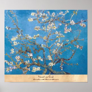 Branches with Almond Blossom Van Gogh painting Poster