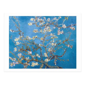 Branches with Almond Blossom Van Gogh Post Cards