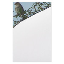 branchesbirdstationary1 stationery