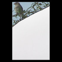 branchesbirdstationary1 stationery by melhi_ branchesbirdstationary1 stationery