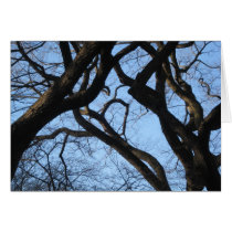 Branching Out cards