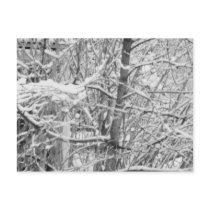 BRANCHS OF SNOW postcards by VIKINGJIM BRANCHS OF SNOW postcards