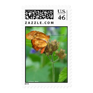 Brand new hatched butterfly baby, orange wings stamp