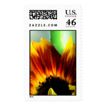 Brand New postage