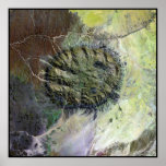 Brandberg Massif Namib Desert Namibia posters