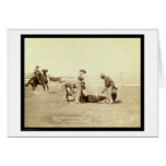 Branding Calves On Roundup SD 1888 cards