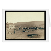 Branding Cattle SD 1891 cards