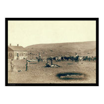Branding Cattle SD 1891 posters
