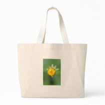 branding ignorance bags