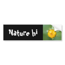 branding ignorance bumper stickers