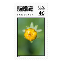 branding ignorance postage