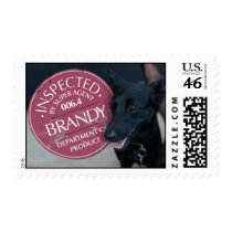 Brandy Stamp stamps