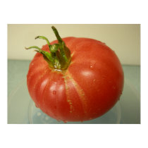 Brandywine Tomato posters