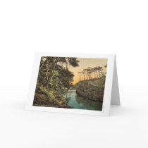 Branksome Chine, Bournemouth, England vintage Phot Cards