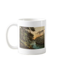 Branksome Chine, Bournemouth, England vintage Phot Mug
