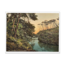 Branksome Chine, Bournemouth, England vintage Phot Post Cards