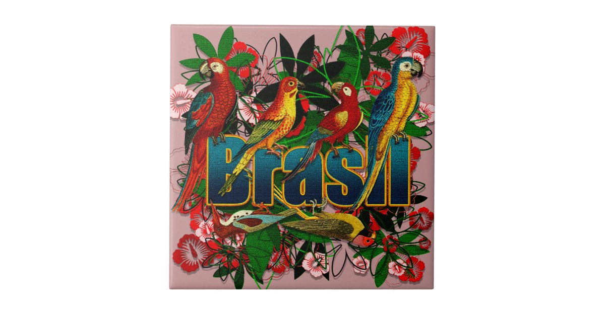 Brasil Brazil Tropical floral rainforest birds art Tile | Zazzle