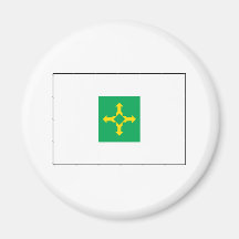 Brasília Flag Fridge Magnets