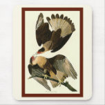 Brasilian Caracara Eagle Mousepad