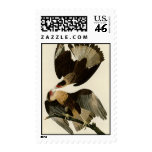 Brasilian Caracara Eagle Postage Stamps