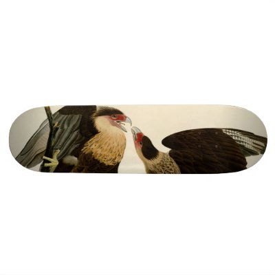 Brasilian Caracara Eagle Skate Board by birdpictures