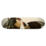 Brasilian Caracara Eagle skateboards