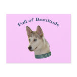 Bratty Ausky Dog Brattitude Post Card