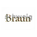 Braun-schweig posters by hen2busi Braun-schweig posters