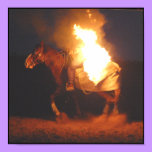BRAVE HORSE - poster / print / canvas