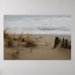 Brave Seagull Print