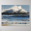 Brave Seagull posters