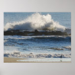 Brave Seagull Poster