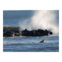 Brave Surfer posters
