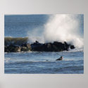 Brave Surfer posters