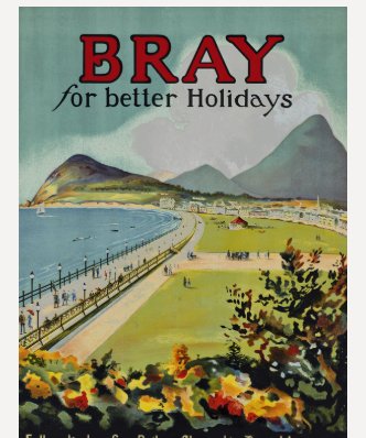 Bray For Better Holidays T-shirt
