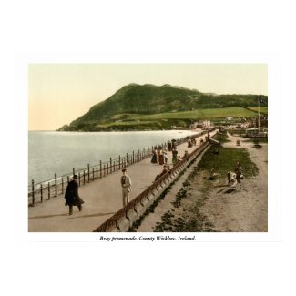 Bray Promenade Wicklow, 19th Century Ireland print