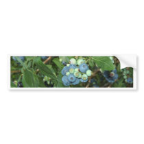 Brays Blueberries Greene County Indiana Bumper Sticker